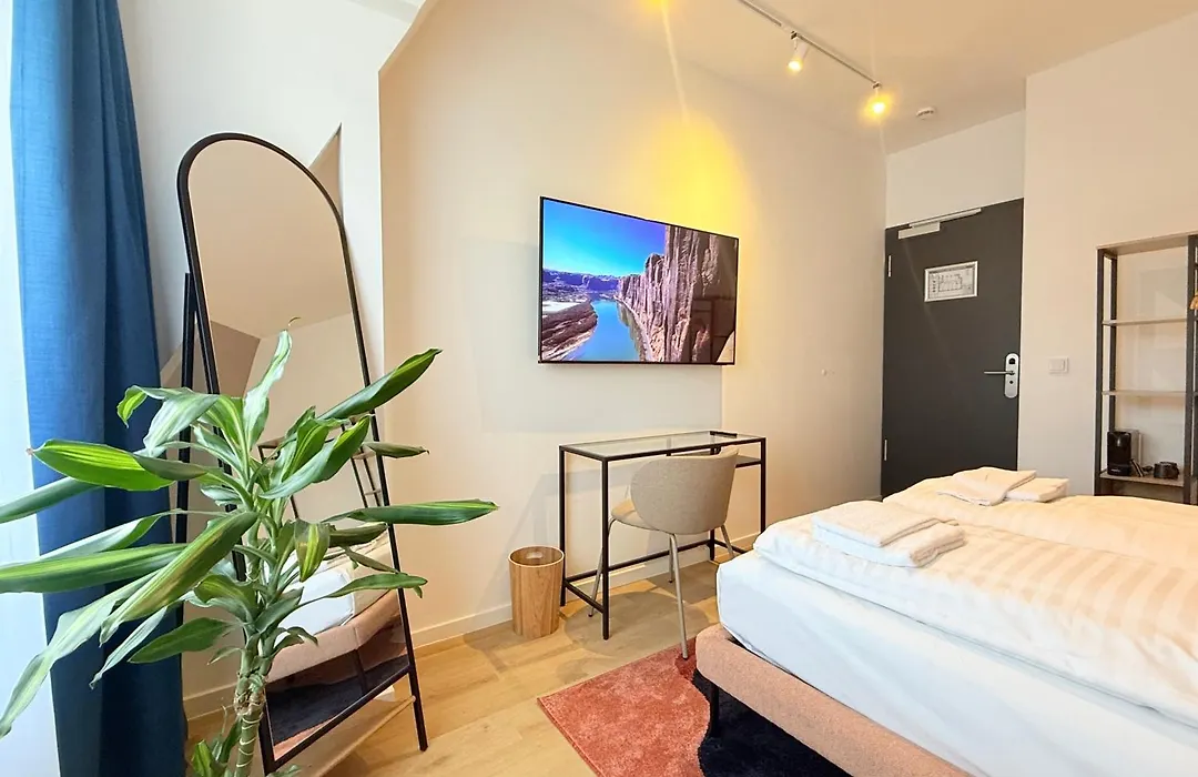 Smart Stayzz-1